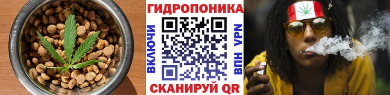 где найти   Уржум  площадка формула  Печенье с ТГК марихуана 